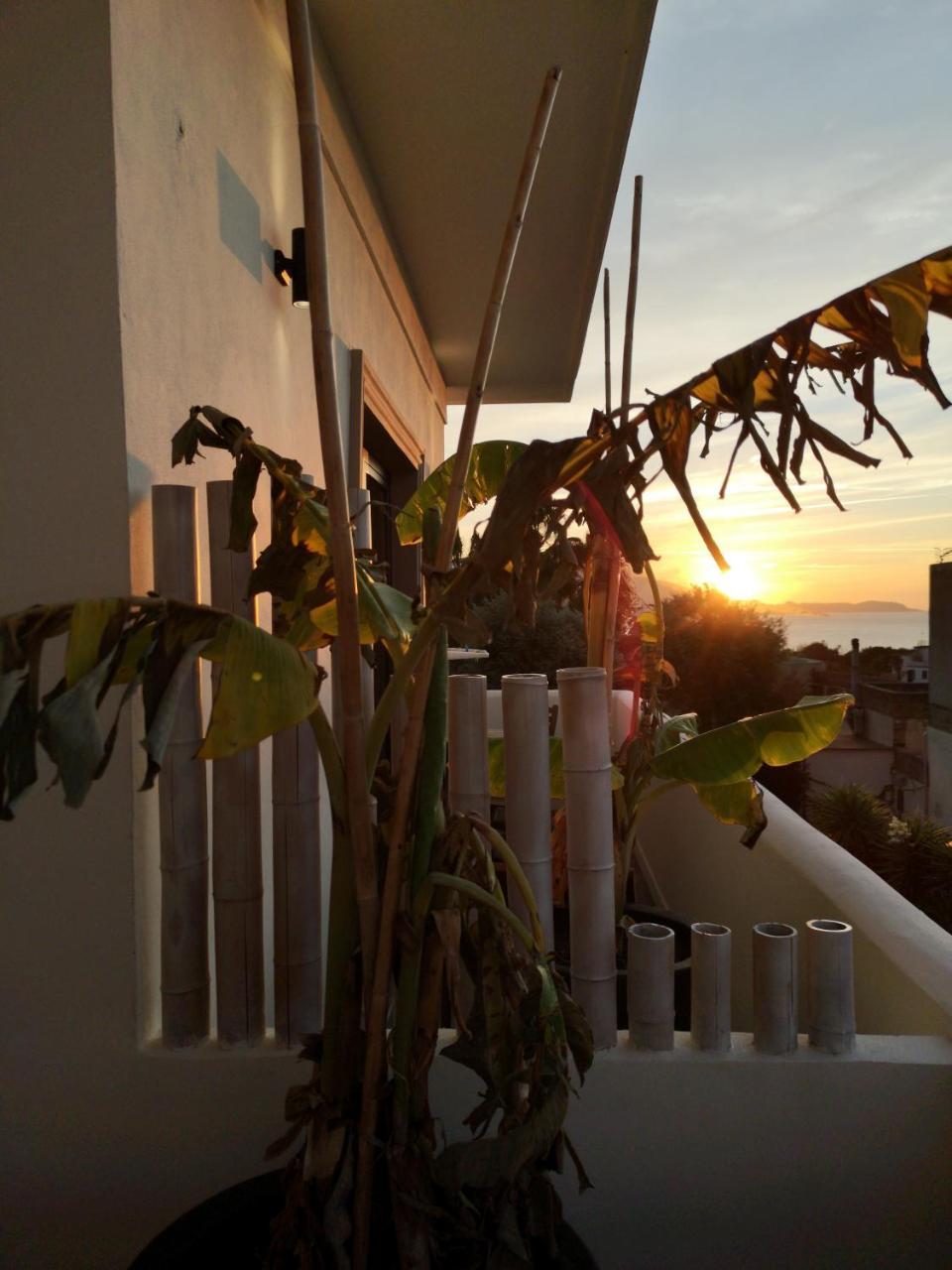 B&B Villa Rosalia Procida Eksteriør bilde