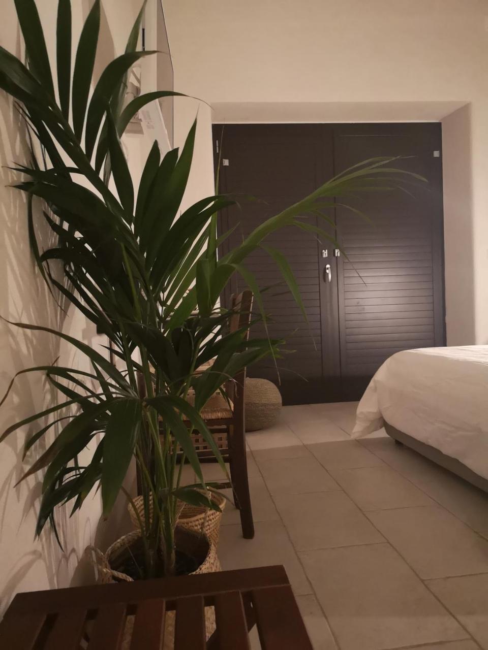 B&B Villa Rosalia Procida Eksteriør bilde