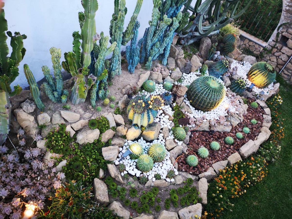 B&B Villa Rosalia Procida Eksteriør bilde